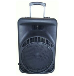 בידורית PRO AUDIO XR12P