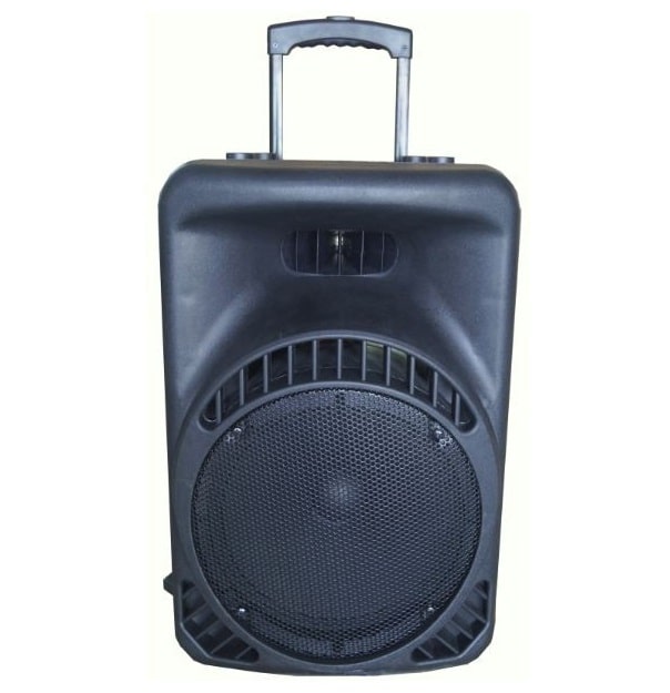 בידורית PRO AUDIO XR12P