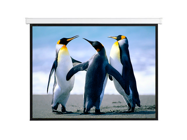 מסך הקרנה חשמלי 100" (16:9) AV-LINE