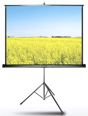 מסך הקרנה חצובה AV 152X152