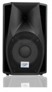 רמקול מוגבר JST-YP10