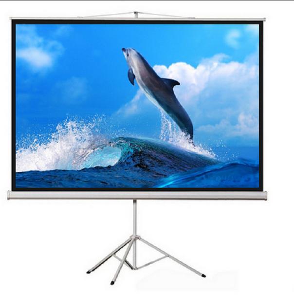 מסך הקרנה חצובה 240X240 מטר SPO