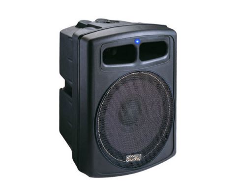 סאב מוגבר SoundKing FP0115A