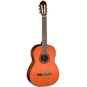 ‏גיטרה קלאסית Cort AC-100DX YT WB