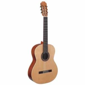 גיטרה קלאסית Walden N450