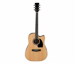 גיטרה אקוסטית WALDEN WD D280NAT