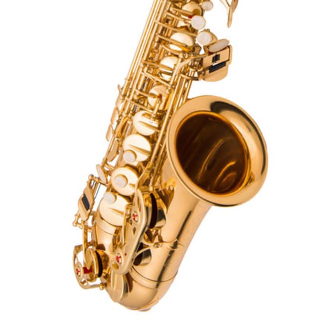 סקסופון אלט Kolen Alt2000 Gold — תמונה 3