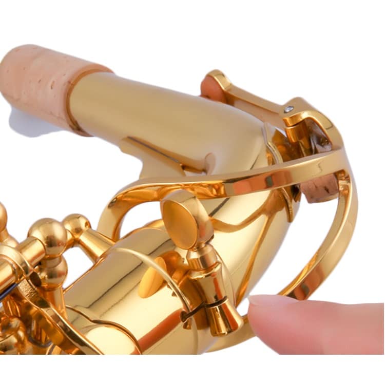 סקסופון אלט Kolen Alt3000 Gold — תמונה 2