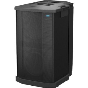 Bose F1  Subwoofer