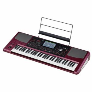אורגן מקצועי KORG PA1000
