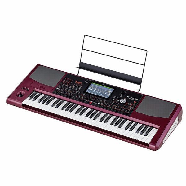אורגן מקצועי KORG PA1000
