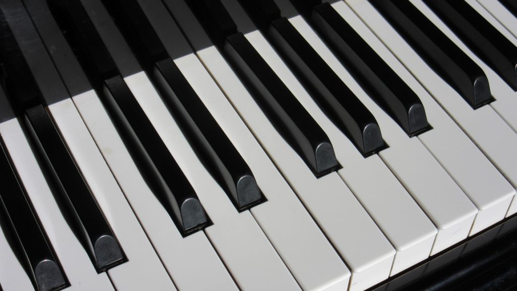 אורגן מקצועי KORG PA700 — תמונה 4