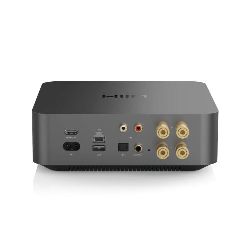 מגבר WIIM AMP — תמונה 3