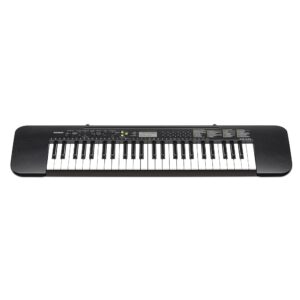 אורגנית Casio CTK240 קסיו