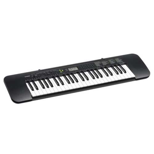 אורגנית Casio CTK240 קסיו — תמונה 4