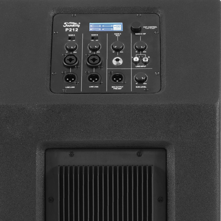 מערכת הגברה מוגברת Soundking P118 — תמונה 2