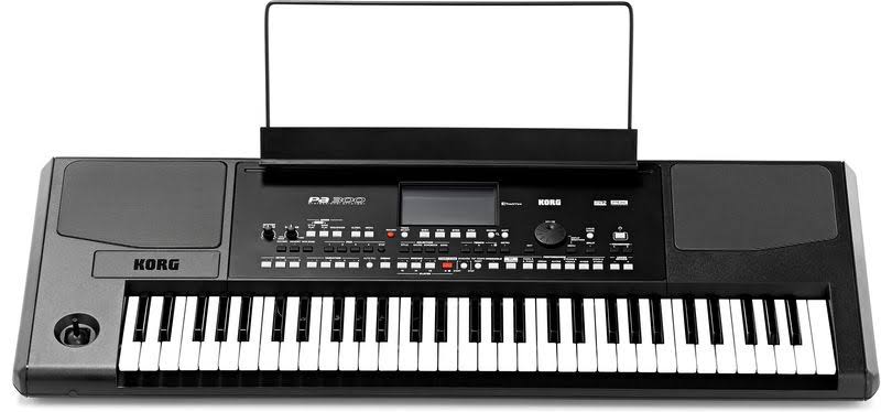 אורגן Korg PA300 — תמונה 4